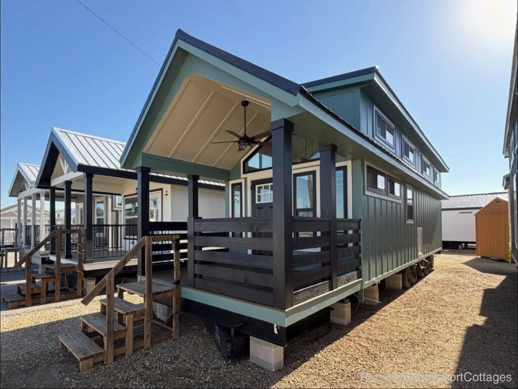 photo_2026-01-17 03.52.47