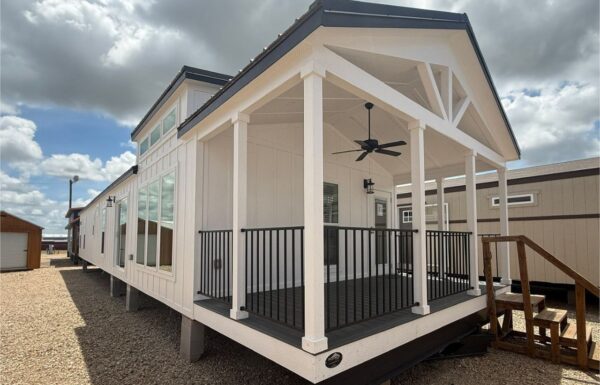 photo_2026-01-17 04.17.11