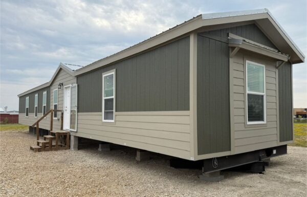 photo_2026-01-17 04.21.29