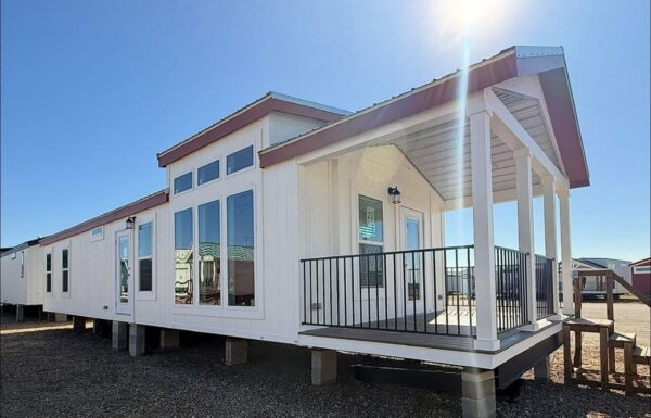 photo_2026-01-19 19.24.48